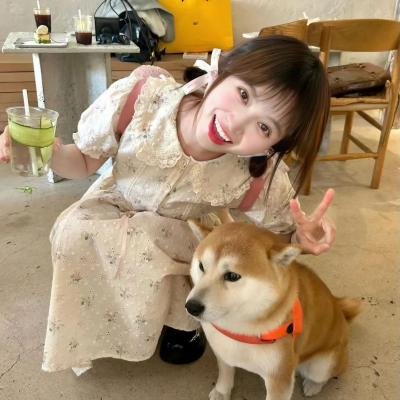 从山上看